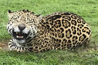 Ecoparque Tálice - Flores