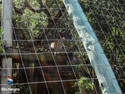 Bioparque M'Bopicuá - Río Negro