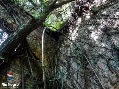 Bioparque M'Bopicuá - Río Negro