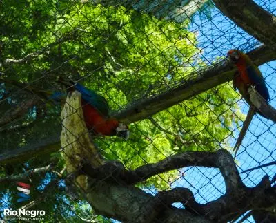 Bioparque M'Bopicuá - Río Negro