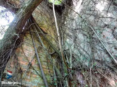 Bioparque M'Bopicuá - Río Negro