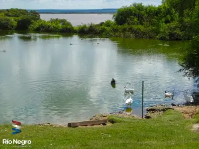 Bioparque M'Bopicuá - Río Negro