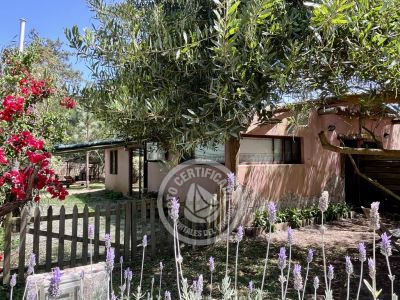 Punta Avellaneda - 3