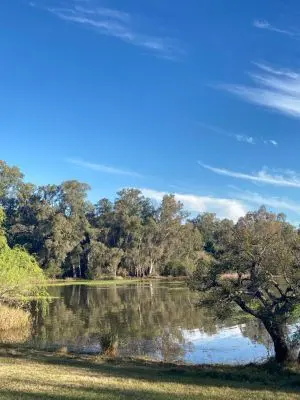 Termas, ecoparques y all inclusive: una propuesta alternativa par hacer turismo en Uruguay