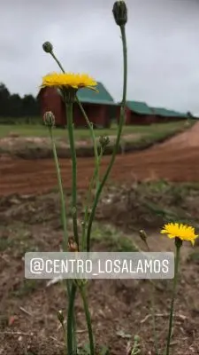 Cabana Cabañas Ecologicas  Maldonado