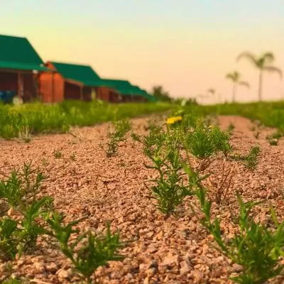 Cabana Cabañas Ecologicas  Maldonado