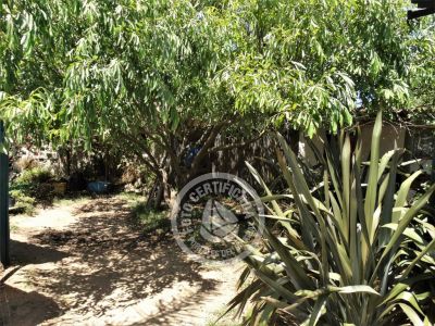 Aldea del Mar - Punta del Diablo