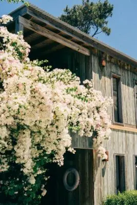Hotel Casa Flor  La Barra