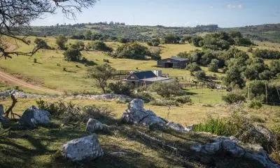 Haras las Tordillas - villas