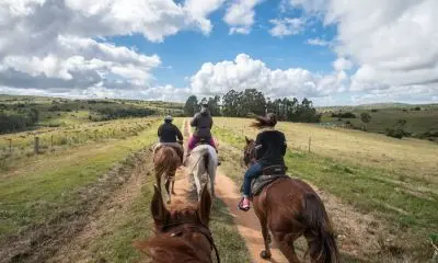 Haras las Tordillas - villas