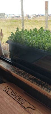 Rancho El ranchito del Polonio Cabo Polonio