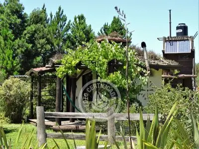 Naturalmente - Tiny - Eco cabañas - Punta del Diablo