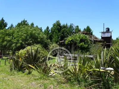 Naturalmente - Tiny - Eco cabañas - Punta del Diablo