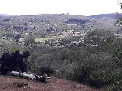 Mainimbu - mono - villa serrana