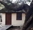 Mainimbu - mono - villa serrana