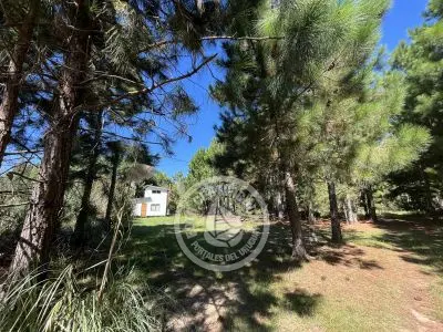Lots Terrenos en zona bosque, varias opciones Punta del Diablo