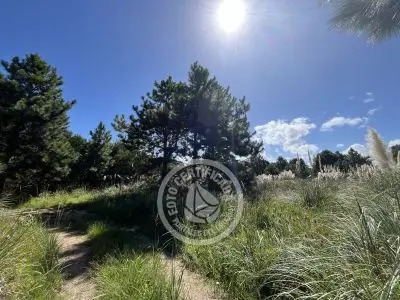 Lots Terrenos en zona bosque, varias opciones Punta del Diablo