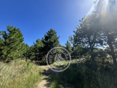 Lots Terrenos en zona bosque, varias opciones Punta del Diablo