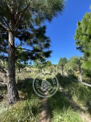 Lots Terrenos en zona bosque, varias opciones Punta del Diablo