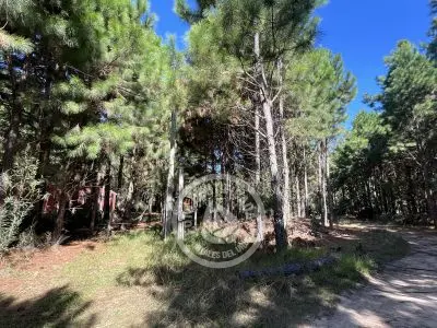 Lots Terrenos en zona bosque, varias opciones Punta del Diablo