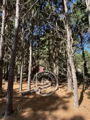 Lots Terrenos en zona bosque, varias opciones Punta del Diablo