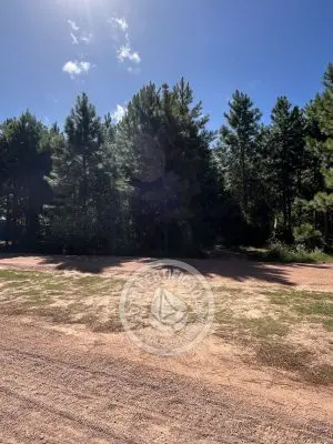 Lots Terrenos en zona bosque, varias opciones Punta del Diablo