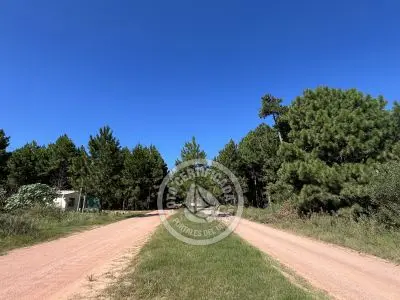Lots Terrenos en zona bosque, varias opciones Punta del Diablo