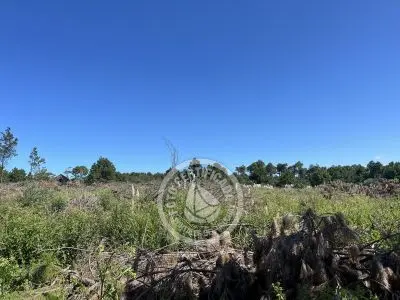 Lots Terrenos en zona bosque, varias opciones Punta del Diablo