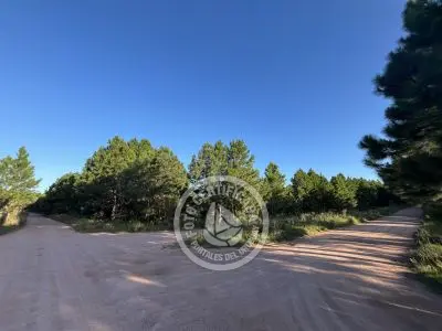 Lots Terrenos en zona bosque, varias opciones Punta del Diablo