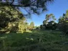 Lots Terrenos en zona bosque, varias opciones Punta del Diablo