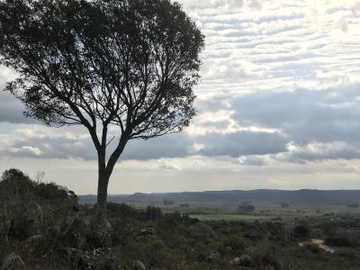 Chacra La Gracia - Chacra en Villa Serrana - Lavalleja Villa Serrana
