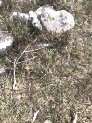 Chacra La Gracia - Chacra en Villa Serrana - Lavalleja Villa Serrana