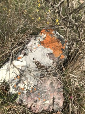 Chacra La Gracia - Chacra en Villa Serrana - Lavalleja Villa Serrana