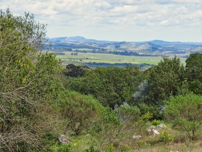 Casa Las Calandrias Villa Serrana