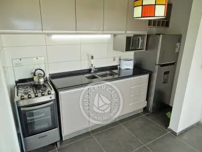 Estrella de la Viuda 3 - Punta del Diablo