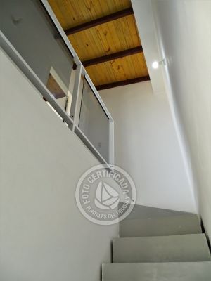 Estrella de la Viuda 3 - Punta del Diablo