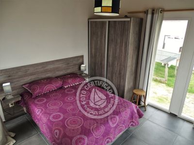 Estrella de la Viuda 3 - Punta del Diablo