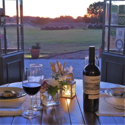 Bodegas - Los Caminos del Vino - Uruguay