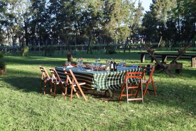 Bodegas - Los Caminos del Vino - Uruguay