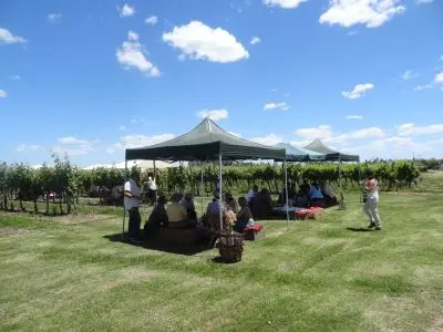 Bodegas - Los Caminos del Vino - Uruguay