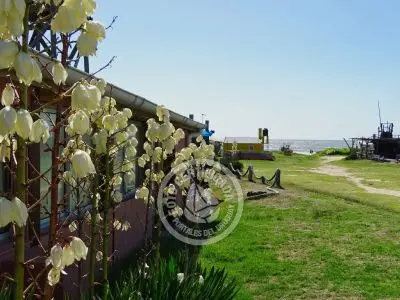 Cabo Polonio Coliving