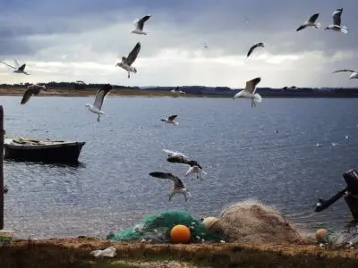 Lugares Un hotel flotante en Laguna Garzón para respirar paz y naturaleza Rocha