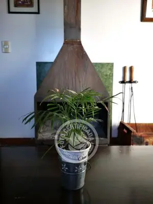 Casa Naranjita Villa Serrana