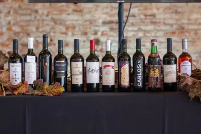 Bodegas de Colonia se unen para armar la ruta del vino