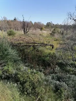 Lots 20 terrenos M. 428 en la Viuda  Punta del Diablo