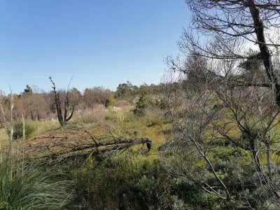 Lots 20 terrenos M. 428 en la Viuda  Punta del Diablo