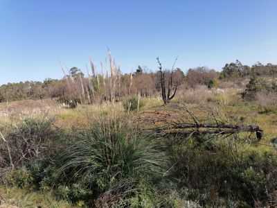 Terrenos 20 terrenos M. 428 en la Viuda  Punta del Diablo