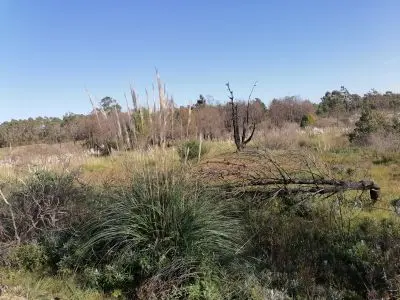 Lots 20 terrenos M. 428 en la Viuda  Punta del Diablo