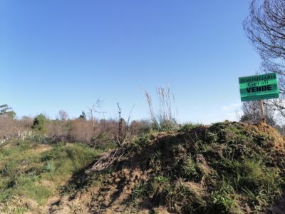 Terrenos 20 terrenos M. 428 en la Viuda  Punta del Diablo