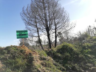 Terrenos 20 terrenos M. 428 en la Viuda  Punta del Diablo